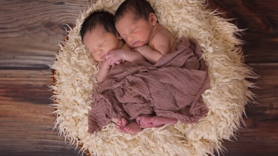 twins, babies, newborn