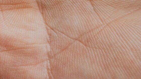 Extreme Close-up View Of A Human Palm