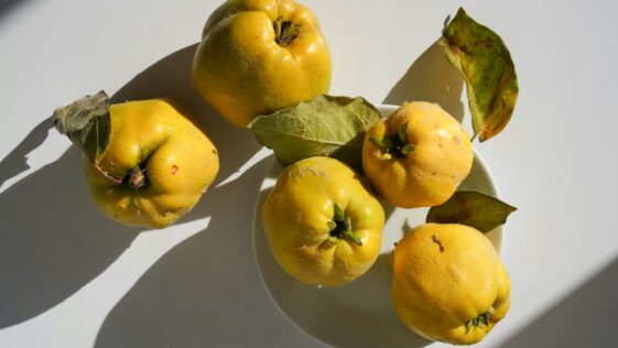 a white plate topped with yellow fruit on top of a table