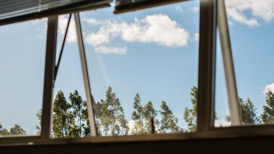 a view of trees through a window