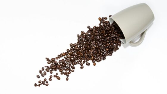 coffee beans beside gray ceramic mug