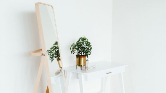 potted plant on side table