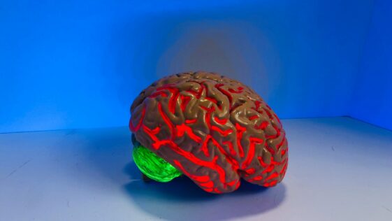 brain figurine