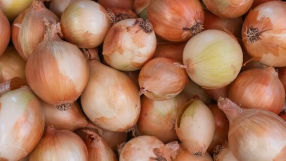 A pile of onions sitting next to each other