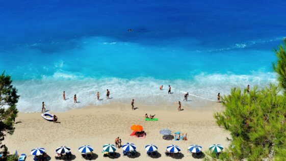 group of people swimming on beach