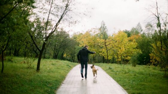 man beside dog walking in pathway surrounded by trees