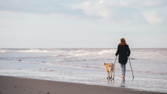 woman in black jacket walking with dog on beach during daytime