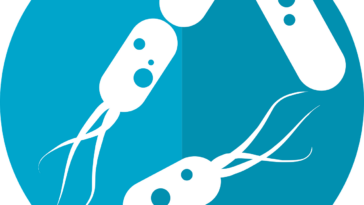 bacteria icon, microbiome icon, gut bacteria, flora, intestinal bacteria, bacterium, bacteria icon, bacteria icon, gut bacteria, gut bacteria, gut bacteria, gut bacteria, gut bacteria, bacterium, bacterium