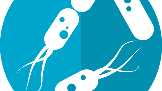 bacteria icon, microbiome icon, gut bacteria, flora, intestinal bacteria, bacterium, bacteria icon, bacteria icon, gut bacteria, gut bacteria, gut bacteria, gut bacteria, gut bacteria, bacterium, bacterium