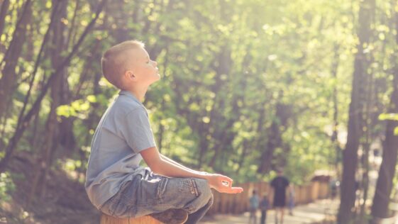 man in blue t-shirt and brown pants sitting on brown wooden seat during daytime